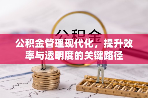 宜章公积金管理现代化，提升效率与透明度的关键路径