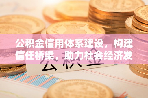 宜章公积金信用体系建设，构建信任桥梁，助力社会经济发展