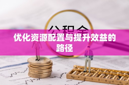 宜章优化资源配置与提升效益的路径