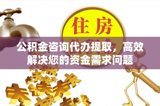 宜章公积金咨询代办提取，高效解决您的资金需求问题