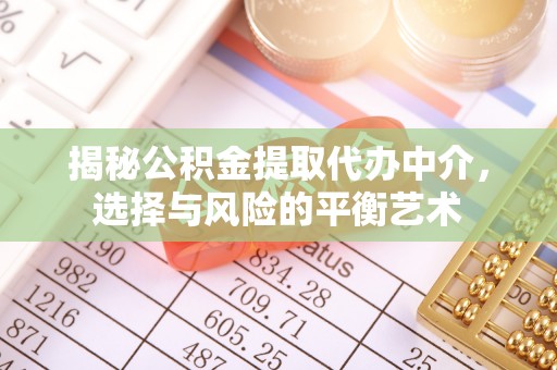 宜章揭秘公积金提取代办中介，选择与风险的平衡艺术