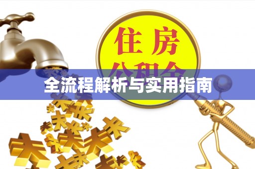宜章全流程解析与实用指南