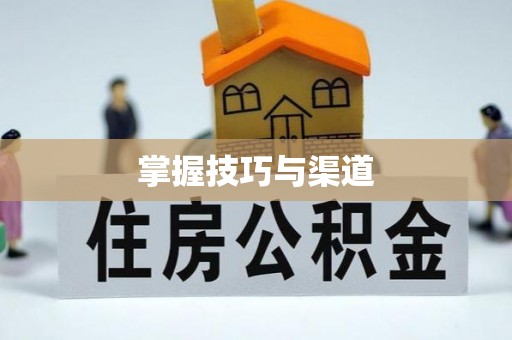 宜章掌握技巧与渠道