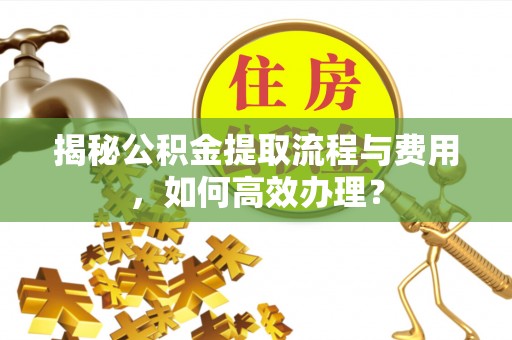 宜章揭秘公积金提取流程与费用，如何高效办理？
